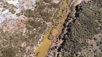 Universität Duisburg-Essen: Erste weltweite Auswertung: Wie Stressfaktoren das Leben in Flüssen formen