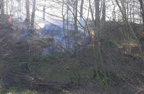 Freiwillige Feuerwehr Lügde: FW Lügde: Flächenbrand im Wald beschäftigt Feuerwehr