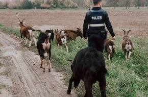 Polizeidirektion Neustadt/Weinstraße: POL-PDNW: Tierischer Einsatz