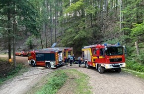 Feuerwehr Offenburg: FW-OG: Waldbrand in Offenburger Ortsteil Zell-Weierbach