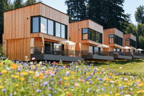 Shinrin Yoku: Darum wird der Wald zum neuen Anti-Stress-Hotspot