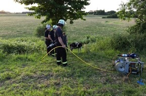 Feuerwehr Düsseldorf: FW-D: Schaf verfängt sich mit Bein in Astgabel - Jugendfeuerwehr befreit das Tier aus seiner Zwangslage