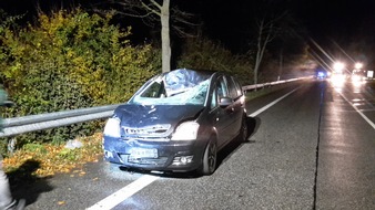 Polizeipräsidium Mainz: POL-PPMZ: Verkehrsunfall mit getöteter Person