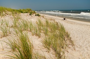 Pressemitteilung New York State: Amerikas bester Strand ausgezeichnet