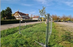 Polizeidirektion Landau: POL-PDLD: Schweigen-Rechtenbach und Birkenhördt Diebstahl von Großflächenplakaten