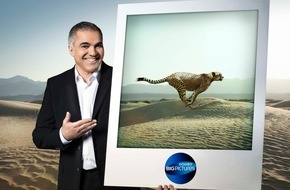 ProSieben: "Galileo Big Pictures" grenzenlos: Wie Liebe und Freundschaft Kontinente überwinden