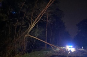 Freiwillige Feuerwehr Selfkant: FW Selfkant: Einsätze der Feuerwehr Selfkant durch Sturm "Sabine"