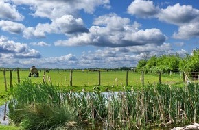 PAN Germany: Zögern statt Handeln: EU drückt sich vor konkreten Maßnahmen zum Umwelt- und Gewässerschutz vor Tierarzneimittel-Belastungen