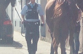 Polizeidirektion Landau: POL-PDLD: Scheue Pferde ausgebüchst