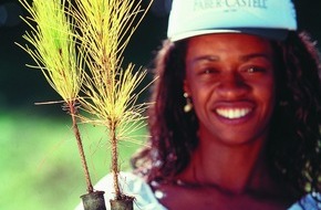 Faber-Castell: Faber-Castell übertrifft Zielsetzung bei nachhaltiger Forstwirtschaft / Steigerung der FSC-Zertifizierung bei holzgefassten Stiften auf 95% im Jubiläumsjahr (mit Bild)