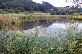 Heinz Sielmann Stiftung: PM 20 Jahre Sielmanns Biotopverbund Bodensee / Heinz Sielmann Stiftung lädt zur Jubiläumsführung in Billafingen am 22. Mai und weiteren Sonderveranstaltungen ein