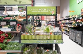 Kaufland: Kaufland-Umfrage zeigt: Diese Produkte kaufen Deutsche, um Lebensmittel zu retten