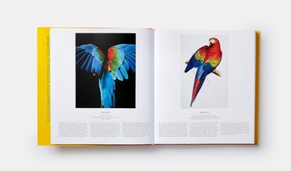 BIRDS – Die Welt der Vögel, Ein Ausflug in die gefiederte Welt, erscheint am 15. Mai 24 im Midas Verlag