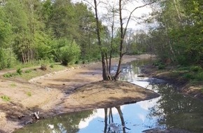 Deutsche Bundesstiftung Umwelt (DBU): Hainberg-Weiher verliert Wasser - DBU Naturerbe untersucht Bodenbeschaffenheit