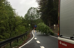 Feuerwehr Plettenberg: FW-PL: OT-Jeutmecke. Schnee. Baum hält Last nicht Stand und senkt sich auf Fahrbahn ab.