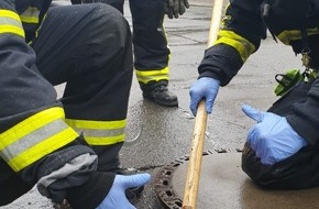 Feuerwehr Wetter (Ruhr): FW-EN: Wetter - Unruhiger Karnevalssonntag für die Feuerwehr Wetter (Ruhr) - Elf Einsätze wurden abgearbeitet