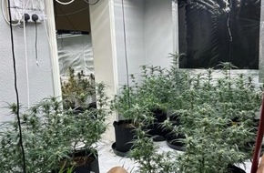 Polizei Wuppertal: POL-W: W Gemeinsame Presseerkl&auml;rung von Staatsanwaltschaft und Polizei Wuppertal - Cannabisplantage an der Hahnerberger Stra&szlig;e