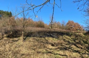 Polizeidirektion Kaiserslautern: POL-PDKL: Feuerwehr löscht Flächenbrand