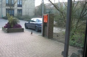 Polizeiinspektion Nienburg / Schaumburg: POL-NI: Vertrauen wieder hergestellt -Bild im Download -