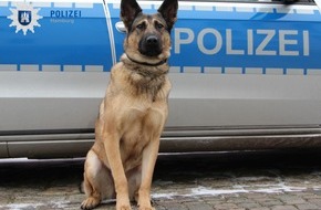 Polizei Hamburg: POL-HH: 170728-1. Zwei mutmaßlicher Einbrecher dem Haftrichter zugeführt