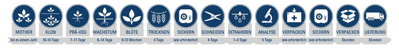 Tilray Deutschland GmbH: Tilray erweitert sein Angebot für den deutschen Markt: Medizinische Cannabisblüten für die Herstellung von Rezepturarzneimitteln in Deutschland verfügbar