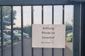 Polizei Aachen: POL-AC: Gemeinsamer Einsatz der Polizei Köln und Polizei Aachen: Achtung Pferde im Innenhof - Kein Scherz!