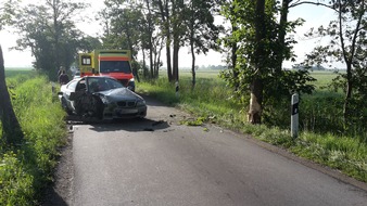 Polizeiinspektion Delmenhorst / Oldenburg - Land / Wesermarsch: POL-DEL: LK Wesermarsch: Schwerer Verkehrsunfall in Butjadingen (mit Bildmaterial)