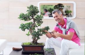Blumenbüro: Bonsai ist Zimmerpflanze des Monats März / Harmonie pur: Mit dem Bonsai entspannt durchs Leben gehen (mit Bild)