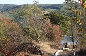 Polizeidirektion Koblenz: POL-PDKO: Flächenbrand oberhalb des Weinanbaugebietes Bopparder Hamm
