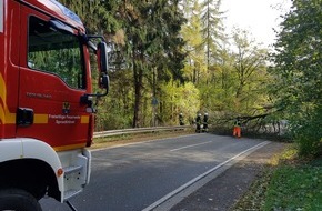Feuerwehr Sprockhövel: FW-EN: Tragehilfe, Feuermeldung und Baum auf Straße
