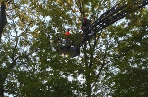 Feuerwehr Oberhausen: FW-OB: Feuerwehr rettet Katze aus Baum