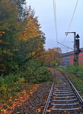 FW Konstanz: Unwetterlage fordert die Feuerwehr