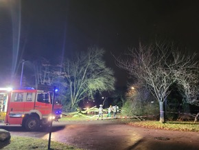 FW Norderstedt: Sturmtief Daniel - Bäume stürzten auf Gebäude, Straßen und einen fahrenden PKW; zwölf Einsätze für die Feuerwehr Norderstedt