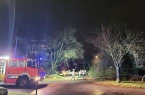 Feuerwehr Norderstedt: FW Norderstedt: Sturmtief Daniel - Bäume stürzten auf Gebäude, Straßen und einen fahrenden PKW; zwölf Einsätze für die Feuerwehr Norderstedt
