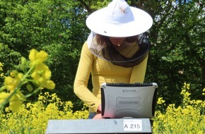 Deutsche Bundesstiftung Umwelt (DBU): Frühwarnsystem zum Schutz der Honigbiene / DBU-Projekt "BeeCheck"- Weltbienentag am 20. Mai