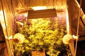 Polizei Homberg: POL-HR: Knüllwald und Homberg: Zwei kleine Cannabisplantagen in Wohnungen sichergestellt