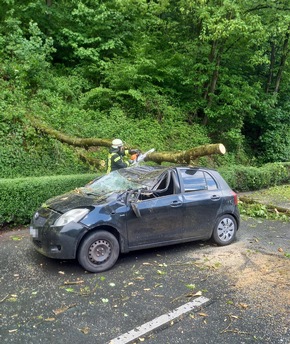 FW-EN: Massiver Baum st&uuml;rze auf fahrenden Pkw - Zwei Verletzte bei Unfall in Herdecke - Gro&szlig;es Gl&uuml;ck f&uuml;r Insassen