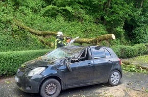 Feuerwehr Herdecke: FW-EN: Massiver Baum st&uuml;rze auf fahrenden Pkw - Zwei Verletzte bei Unfall in Herdecke - Gro&szlig;es Gl&uuml;ck f&uuml;r Insassen