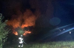 Polizeidirektion Landau: POL-PDLD: Flächenbrand durch weggeworfene Kippe verursacht