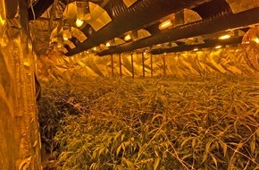 Polizei Mettmann: POL-ME: Cannabis-Großplantage - erfolgreiche Durchsuchung der Polizei - Langenfeld - 2012084