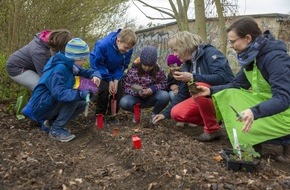 AOK Sachsen-Anhalt: Grundschule Mühlanger in Zahna-Elster startet Schulgarten-Projekt mit AOK