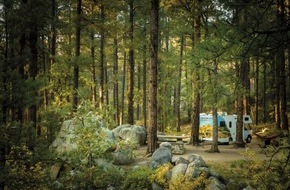CamperDays: Der Natur ganz nah sein: Wildcampen mit dem Wohnmobil