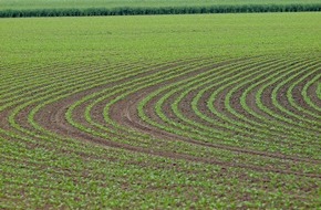 Nordzucker AG: Rübenanbauvertrag 2023 der Nordzucker trifft ins Schwarze