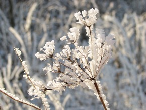 Winterlandschaften vom Feinsten / CEWE COLOR kürte Wettbewerbssieger 2010 (mit Bild)