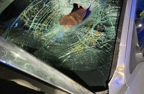 Kreispolizeibehörde Euskirchen: POL-EU: Pkw-Unfall: Holzpfosten verfehlte Fahrer nur um wenige Zentimeter