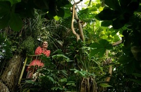 Universität Osnabrück: Regenwaldhaus im Botanischen Garten ab April wieder geöffnet