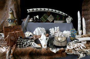 ZZF – Zentralverband der Heimtierbranche e.V.: Artenschutz im Urlaub: Vorsicht bei tierischen Souvenirs