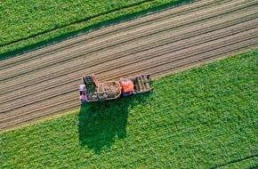 Pfeifer & Langen GmbH & Co. KG: Zuckerrübenkampagne startet mit durchschnittlichen Erwartungen / Trotz später Aussaat haben sich die Rüben gut entwickelt