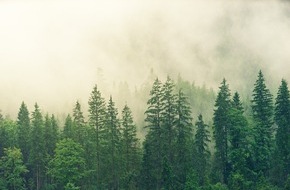 Global Nature Fund: Als Unternehmen engagiert im Wald- und Klimaschutz: GNF und OroVerde erklären, wie´s geht