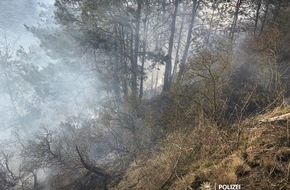Polizeiinspektion Anklam: POL-ANK: Polizei bittet um Mithilfe nach Brand einer Waldfläche in Lütow auf Usedom